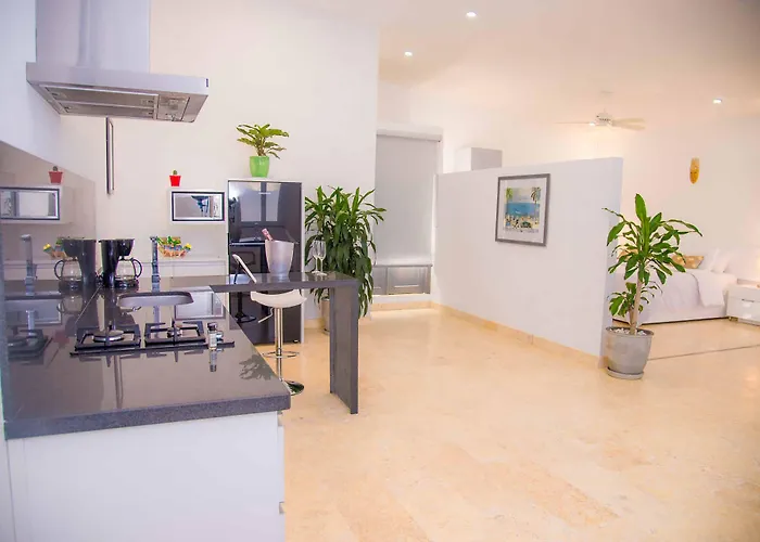 El Cactus Luxury Apartments In Historic Center